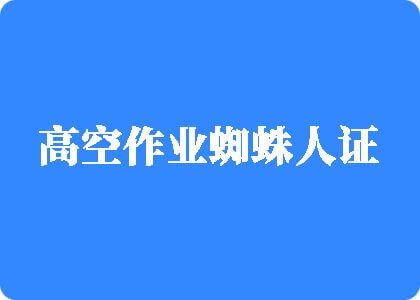 鸡巴操骚穴之亚洲无码视频高空作业蜘蛛人证